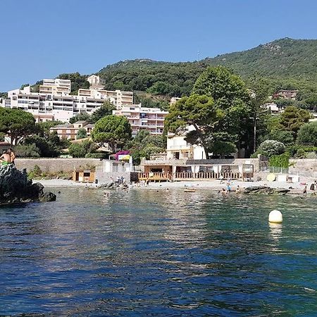 Charmant Studio Climatise Avec Parking, Au Coeur De Pietranera, Plage A 500M, Bastia A 2Km Ville-di-Pietrabugno Exterior foto